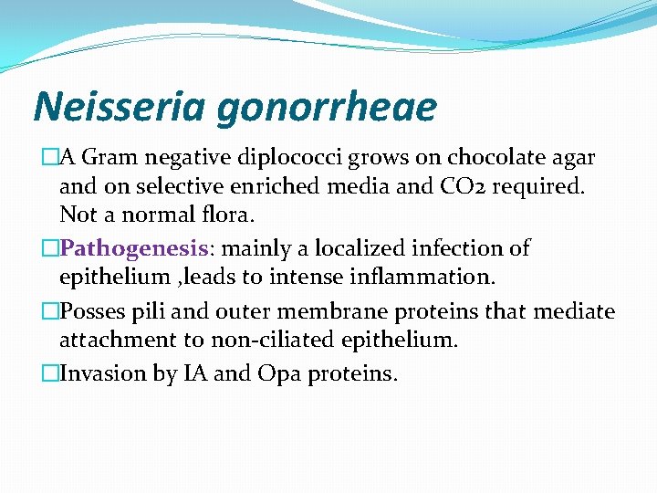 Neisseria gonorrheae �A Gram negative diplococci grows on chocolate agar and on selective enriched