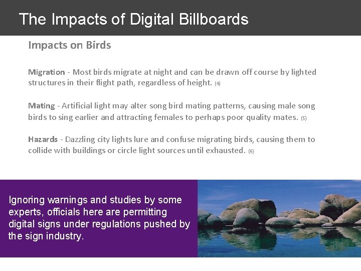 The Impacts of Digital Billboards Impacts on Birds Migration - Most birds migrate at