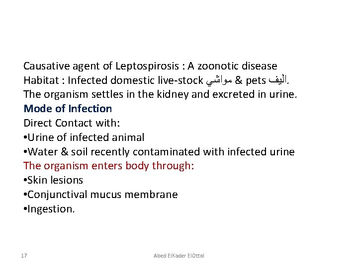 Causative agent of Leptospirosis : A zoonotic disease Habitat : Infected domestic live-stock &