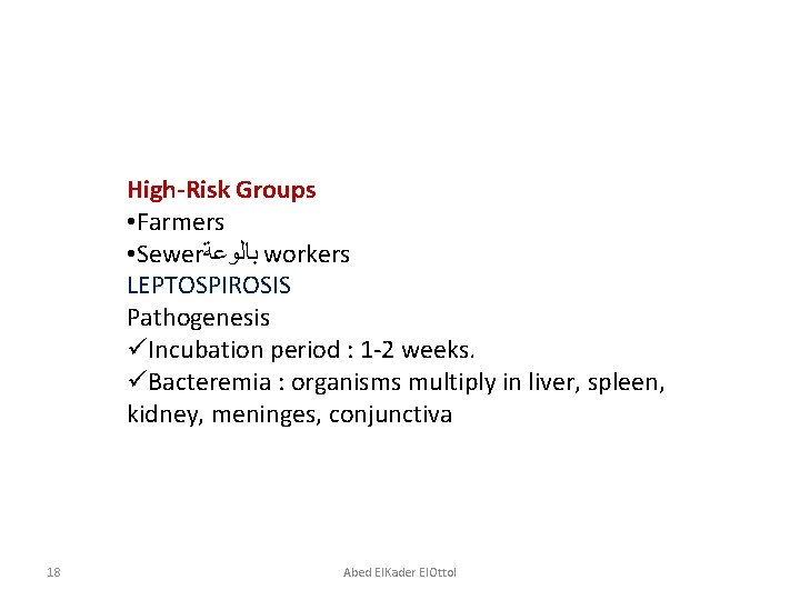 High-Risk Groups • Farmers • Sewer ﺑﺎﻟﻮﻋﺔ workers LEPTOSPIROSIS Pathogenesis üIncubation period : 1