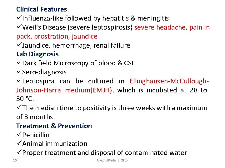 Clinical Features üInfluenza-like followed by hepatitis & meningitis üWeil’s Disease (severe leptospirosis) severe headache,