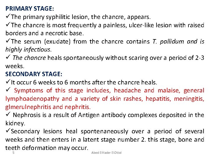 PRIMARY STAGE: üThe primary syphilitic lesion, the chancre, appears. üThe chancre is most frequently