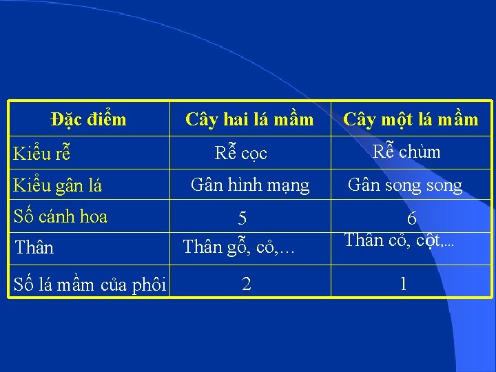 Đặc điểm Kiểu rễ Kiểu gân lá Số cánh hoa Thân Số lá mầm