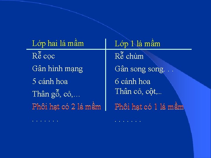 Lớp hai lá mầm Lớp 1 lá mầm Rễ cọc Rễ chùm Gân hình