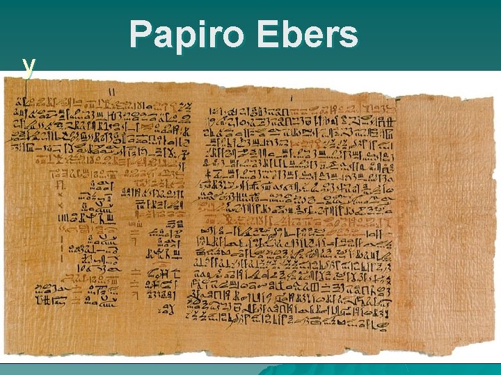 y Papiro Ebers 