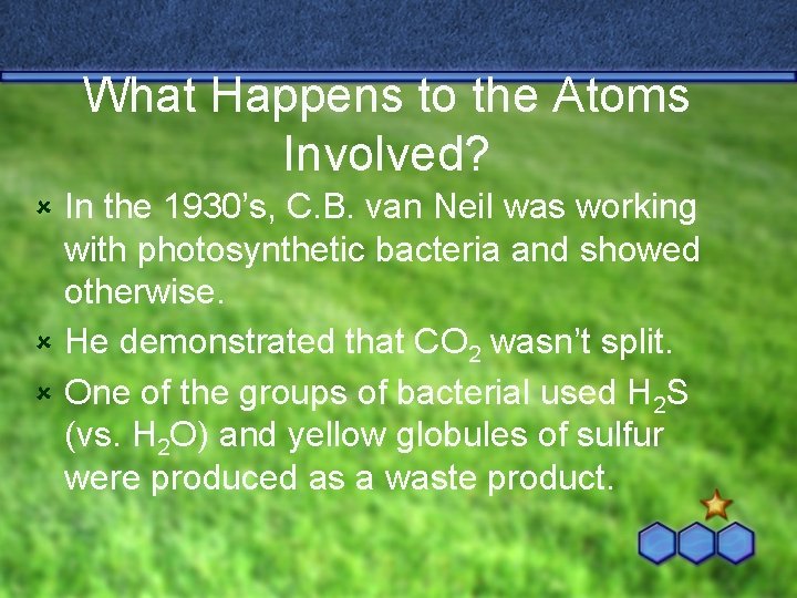 What Happens to the Atoms Involved? In the 1930’s, C. B. van Neil was