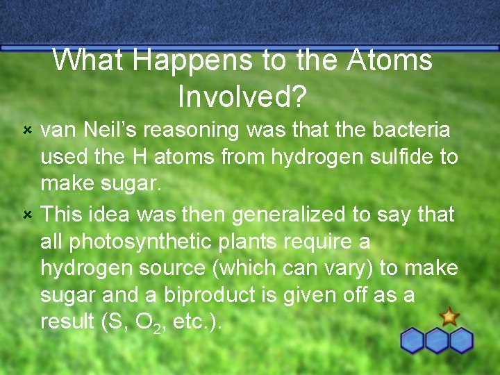 What Happens to the Atoms Involved? van Neil’s reasoning was that the bacteria used