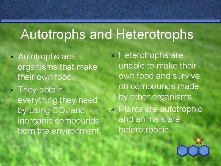 Autotrophs and Heterotrophs Autotrophs are organisms that make their own food. û They obtain