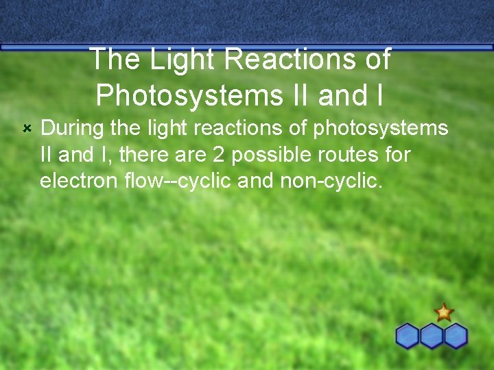 The Light Reactions of Photosystems II and I û During the light reactions of