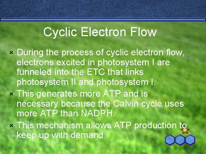 Cyclic Electron Flow During the process of cyclic electron flow, electrons excited in photosystem