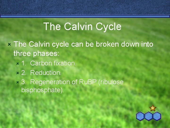 The Calvin Cycle û The Calvin cycle can be broken down into three phases: