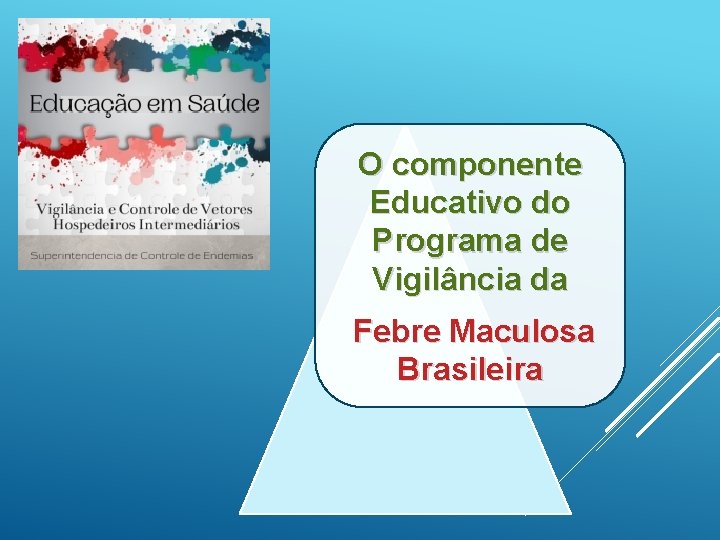 O componente Educativo do Programa de Vigilância da Febre Maculosa Brasileira 