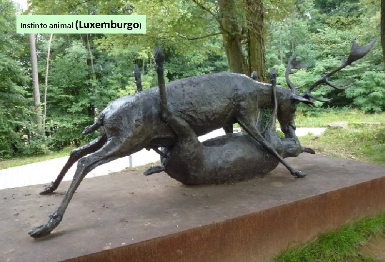 Instinto animal (Luxemburgo) 