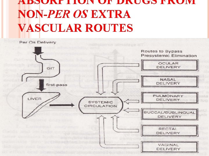 ABSORPTION OF DRUGS FROM NON-PER OS EXTRA VASCULAR ROUTES 100 
