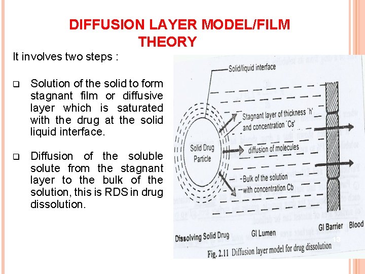 DIFFUSION LAYER MODEL/FILM THEORY It involves two steps : q Solution of the solid