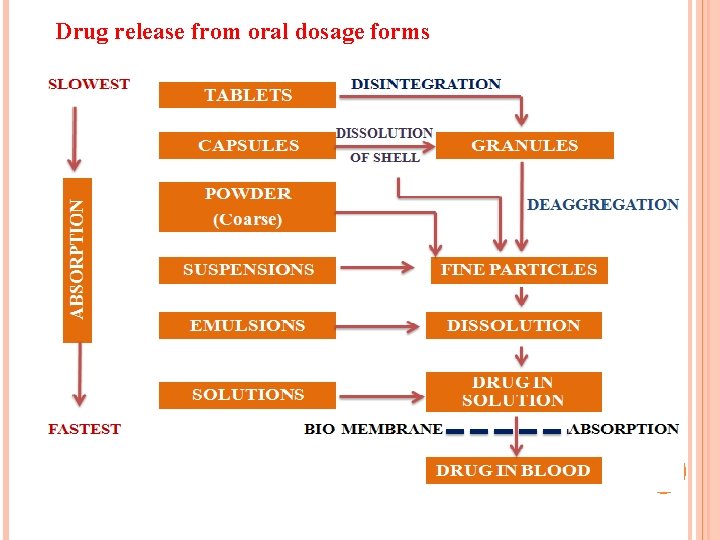 Drug release from oral dosage forms 68 