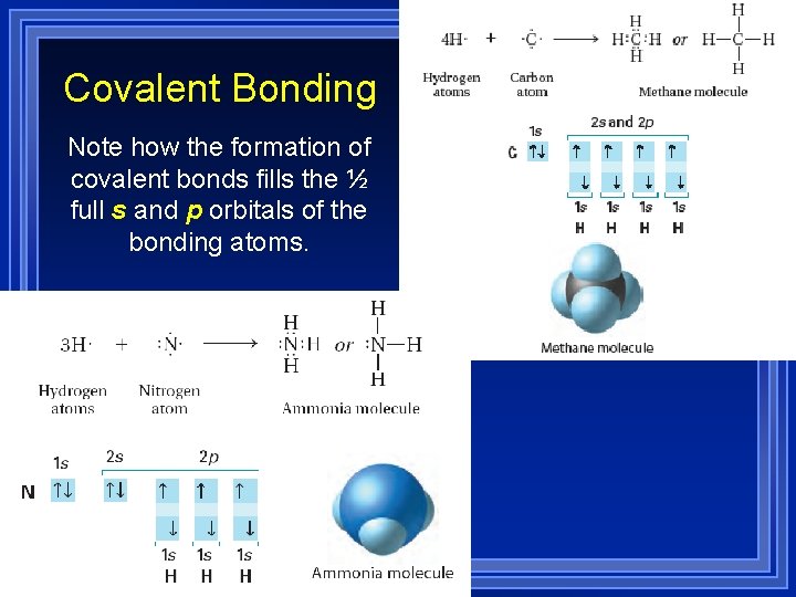 Covalent Bonding Note how the formation of covalent bonds fills the ½ full s