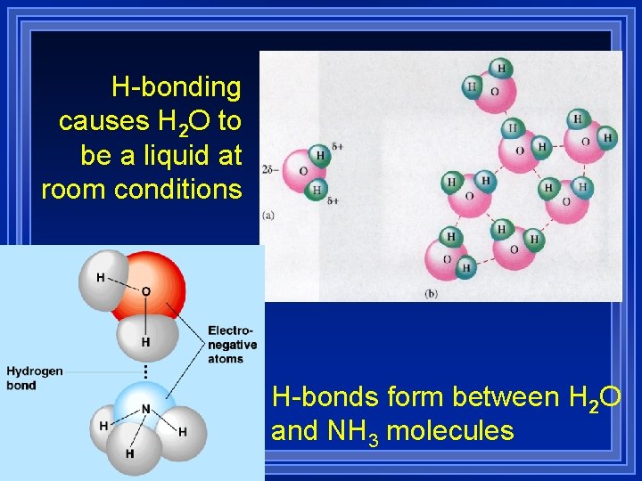 H-bonding causes H 2 O to be a liquid at room conditions H-bonds form