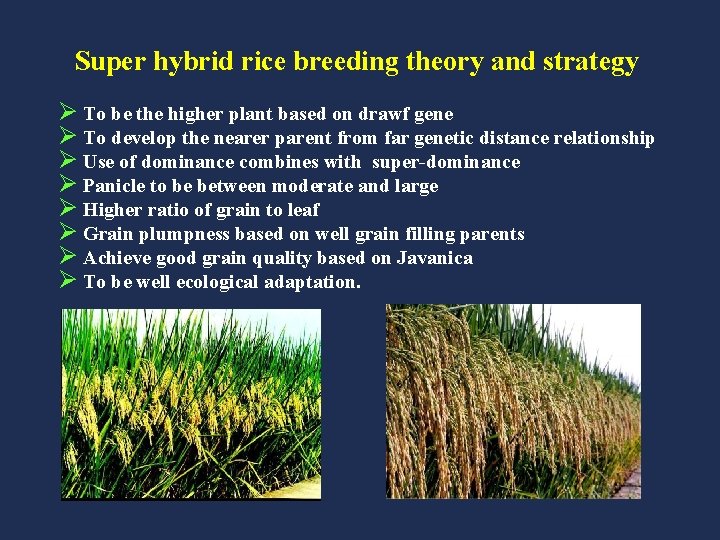 Super hybrid rice breeding theory and strategy Ø To be the higher plant based