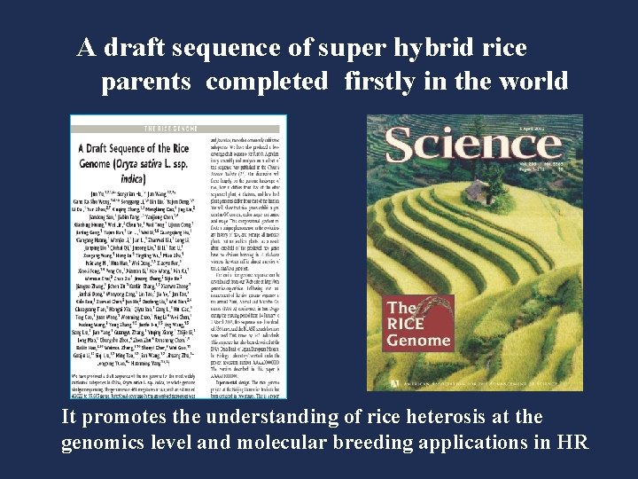 A draft sequence of super hybrid rice parents completed firstly in the world It