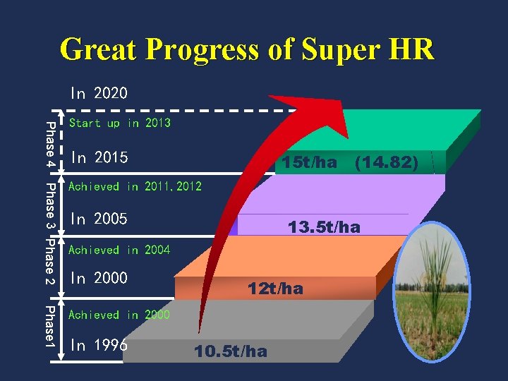 Great Progress of Super HR In 2020 Phase 4 Start up in 2013 Phase