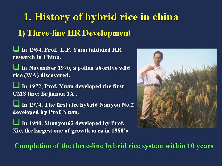 1. History of hybrid rice in china 1) Three-line HR Development q In 1964,