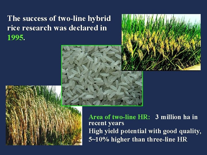 The success of two-line hybrid rice research was declared in 1995. Area of two-line