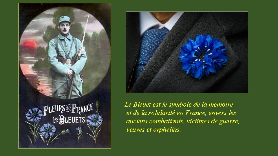 Le Bleuet est le symbole de la mémoire et de la solidarité en France,