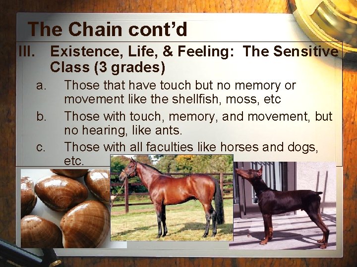 The Chain cont’d III. Existence, Life, & Feeling: The Sensitive Class (3 grades) a.