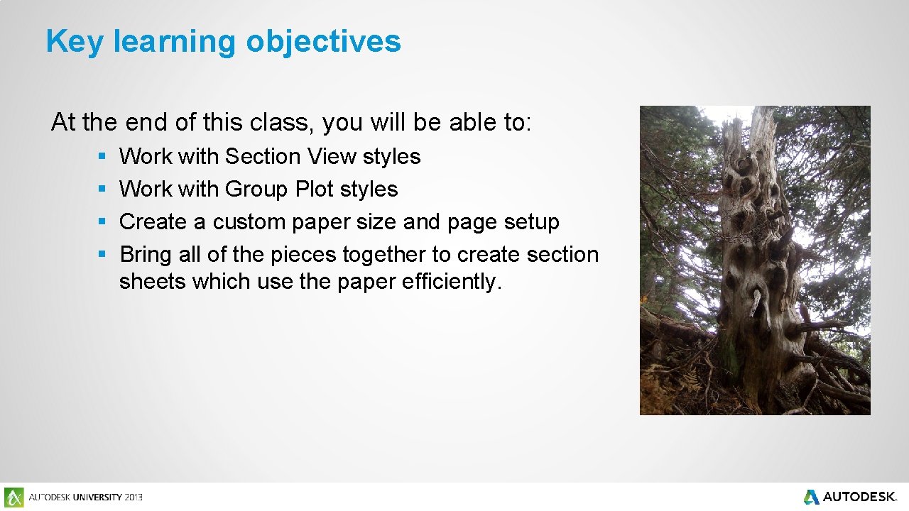 Key learning objectives At the end of this class, you will be able to: