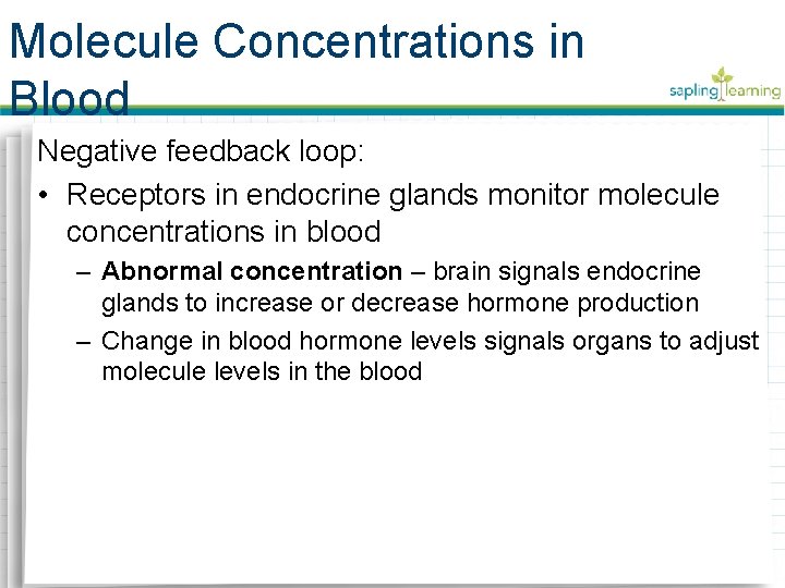 Molecule Concentrations in Blood Negative feedback loop: • Receptors in endocrine glands monitor molecule