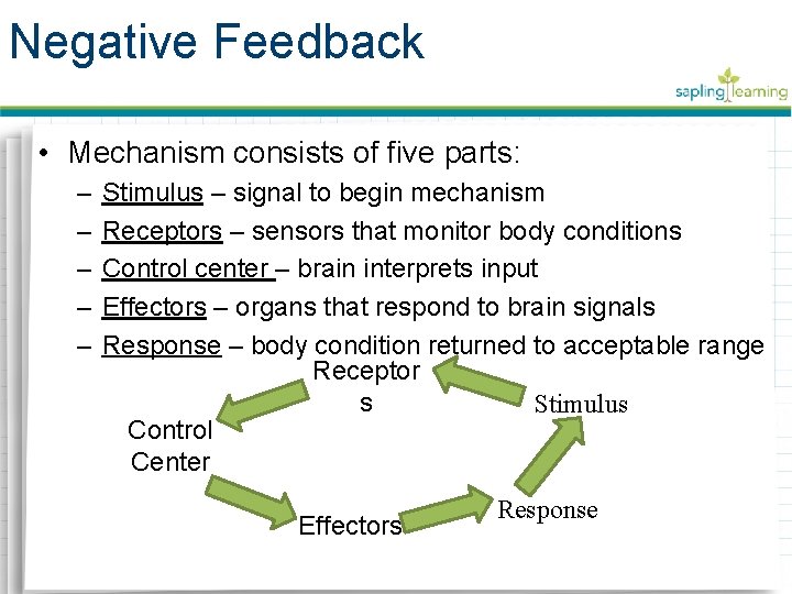 Negative Feedback • Mechanism consists of five parts: – – – Stimulus – signal