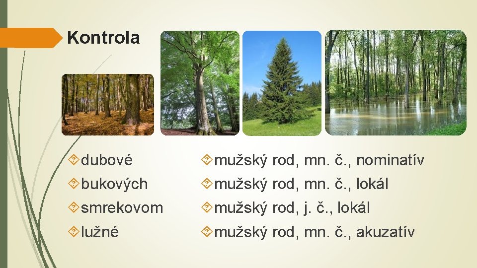 Kontrola dubové bukových smrekovom lužné mužský rod, mn. č. , nominatív mužský rod, mn.