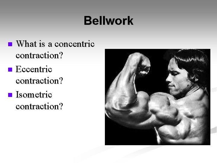 Bellwork What is a concentric contraction? n Eccentric contraction? n Isometric contraction? n 