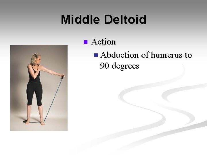 Middle Deltoid n Action n Abduction of humerus to 90 degrees 