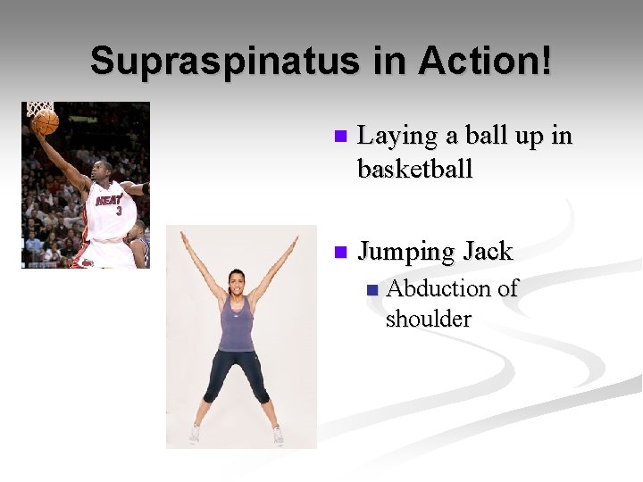 Supraspinatus in Action! n Laying a ball up in basketball n Jumping Jack n