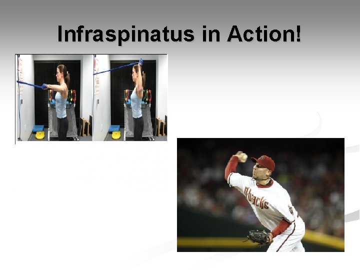 Infraspinatus in Action! 