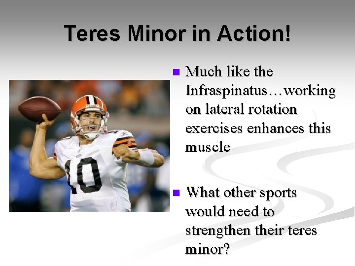 Teres Minor in Action! n Much like the Infraspinatus…working on lateral rotation exercises enhances