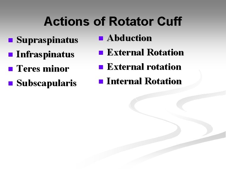 Actions of Rotator Cuff Supraspinatus n Infraspinatus n Teres minor n Subscapularis n Abduction