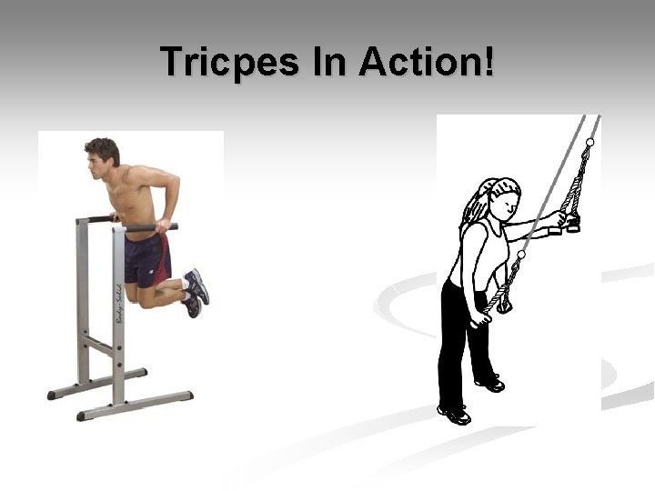 Tricpes In Action! 
