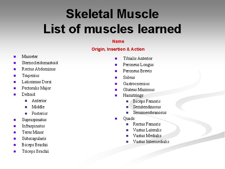 Skeletal Muscle List of muscles learned Name Origin, Insertion & Action n n n