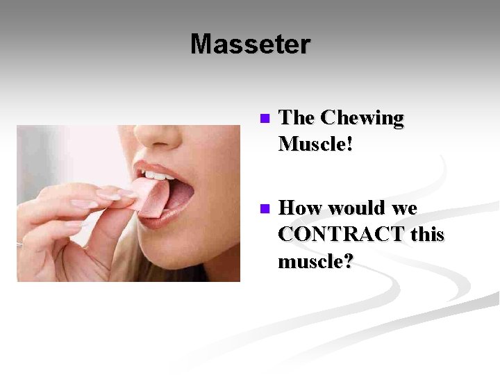 Masseter n The Chewing Muscle! n How would we CONTRACT this muscle? 