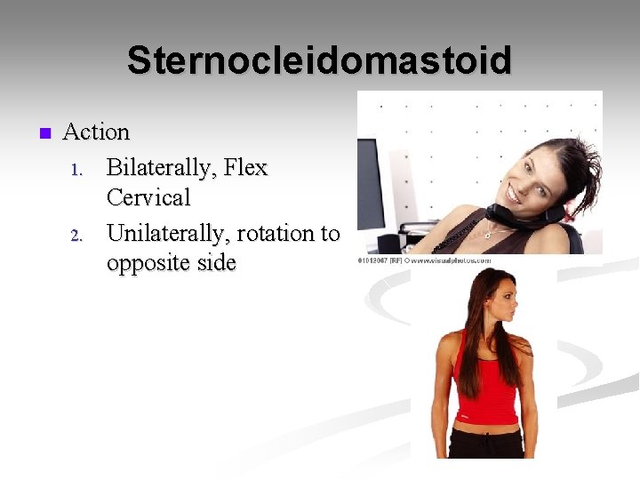 Sternocleidomastoid n Action 1. Bilaterally, Flex Cervical 2. Unilaterally, rotation to opposite side 