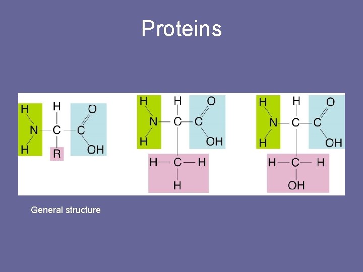 Proteins General structure 