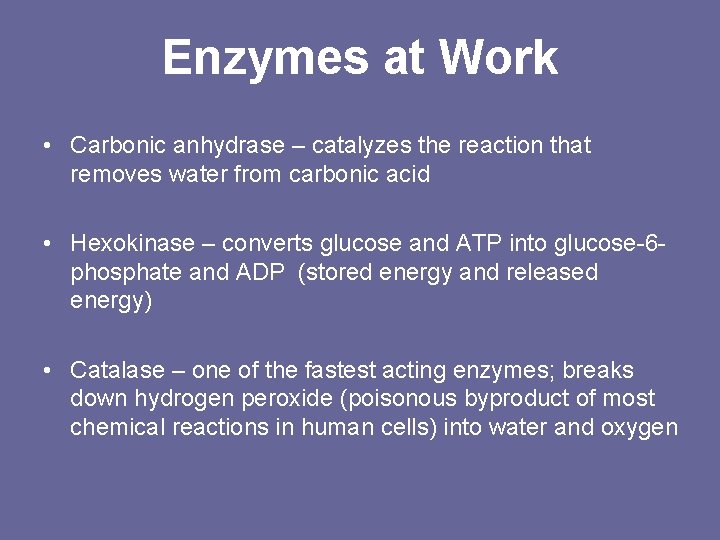 Enzymes at Work • Carbonic anhydrase – catalyzes the reaction that removes water from