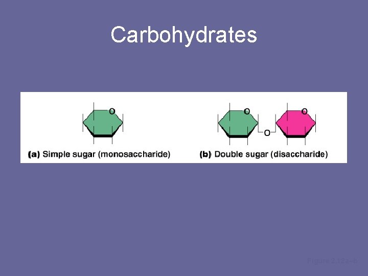 Carbohydrates Figure 2. 12 a–b 