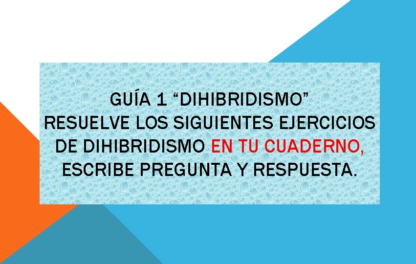 GUÍA 1 “DIHIBRIDISMO” RESUELVE LOS SIGUIENTES EJERCICIOS DE DIHIBRIDISMO EN TU CUADERNO, ESCRIBE PREGUNTA