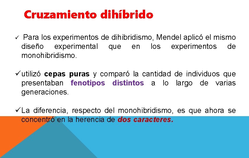 Cruzamiento dihíbrido ü Para los experimentos de dihibridismo, Mendel aplicó el mismo diseño experimental