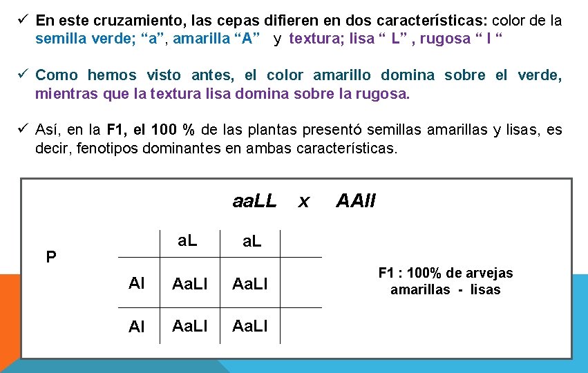 ü En este cruzamiento, las cepas difieren en dos características: color de la semilla