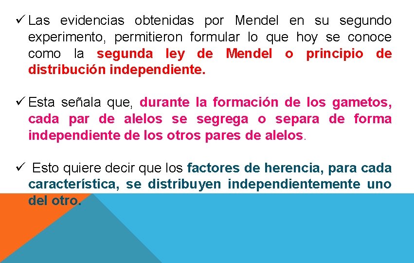 ü Las evidencias obtenidas por Mendel en su segundo experimento, permitieron formular lo que